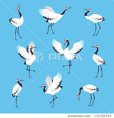 Red Crowned Crane as Long-legged and Long-necked Bird in Different Pose on Blue Background Vector Set Red Crowned Crane as Long-legged and Long-necked Bird in Different Pose on Blue Background Vector Set 132788763