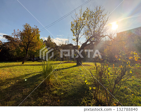 Sunlit park with autumn trees and grass. Calmness, balance and appreciation of nature during golden hour. Sunlit park with autumn trees and grass. Calmness, balance and appreciation of nature during golden hour. 132788840