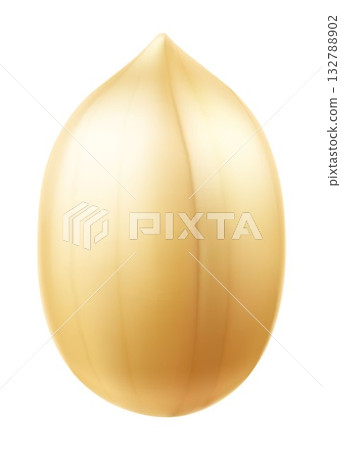 Peanuts isolated on white background. For packaging with peanut butter, a mixture of nuts. Vegetable protein for vegetarians, a healthy product. Realistic vector 3D illustration. 132788902