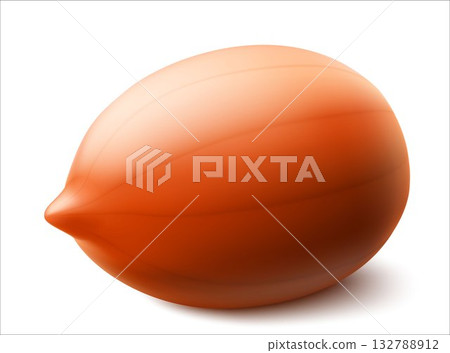 Peanuts isolated on white background. For packaging with peanut butter, a mixture of nuts. Vegetable protein for vegetarians, a healthy product. Realistic vector 3D illustration. 132788912