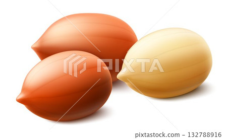 Set of shelled and unshelled peanuts, isolated on white background. For packaging with peanut butter, mix of nuts. Vegetable protein for vegetarians, healthy product. Realistic vector 3D illustration. 132788916