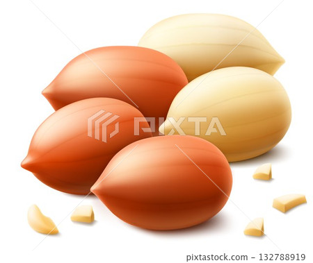 Set of shelled and unshelled peanuts, isolated on white background. For packaging with peanut butter, mix of nuts. Vegetable protein for vegetarians, healthy product. Realistic vector 3D illustration. 132788919