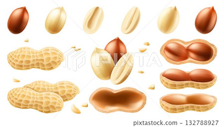 Set of whole and half peanuts, isolated on white background. For packaging with peanut butter, mix of nuts. Vegetable protein for vegetarians, healthy product. Realistic vector 3D illustration. 132788927