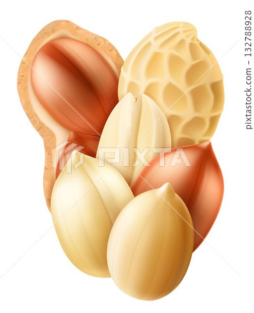 Shelled and unshelled peanuts, isolated on a white background. Healthy food with protein. For packaging with peanut butter, a mixture of nuts. Realistic vector 3D illustration 132788928