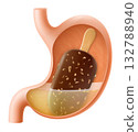 Human Stomach with ice cream on a stick in chocolate glaze. The stomach digests ice cream. A stomach filled with delicious sweet food. Realistic 3d Vector illustration. Food digestion process. 132788940