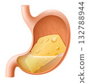 Human Stomach with cheese. The stomach digests cheese. A stomach filled with healthy and wholesome food. Proper nutrition. Realistic 3d Vector illustration. Food digestion process illustration 132788944