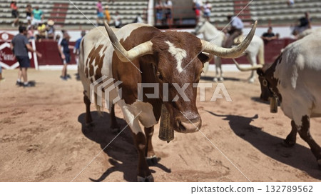 Captivating bull arena scene in spanish fiesta setting Captivating bull arena scene in spanish fiesta setting 132789562