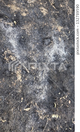 Aftermath of forest fire impacted terrain concept for environmental awareness. Burnt grass, aftermath of a fire. Burnt field, summer fire 132789590