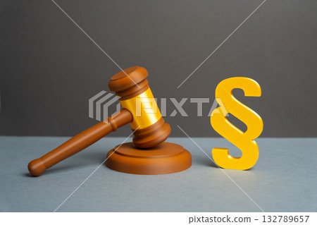Judge's gavel and paragraph symbol. Laws and legislation. Adoption of laws, acts, and amendments to legislation. Regulation and fiscal. Legislative authority, justice, and government regulation. 132789657