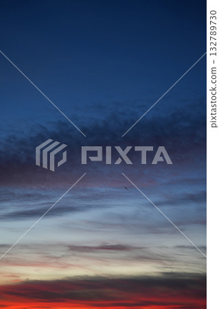 Blue and red twilight sky with layers of soft clouds and a single bird flying across horizon 132789730