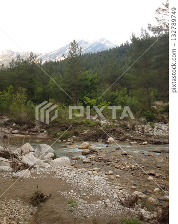 Mountain river flowing through forest with snow peaks in distance. Purity, tranquility, and the untouched beauty of natural wilderness. Mountain river flowing through forest with snow peaks in distance. Purity, tranquility, and the untouched beauty of natural wilderness. 132789749
