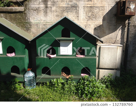 Green wooden shelters for stray cats near old wall. Compassion, coexistence, and community care for animals in Istanbul. Green wooden shelters for stray cats near old wall. Compassion, coexistence, and community care for animals in Istanbul. 132789760