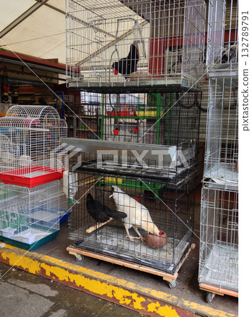 Chicken cages in Tenerife market stall. Rural lifestyle, local agriculture, and traditional culture of Canary Islands trade. 132789791