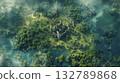 Ancient castle ruins in misty forest by lake. Old fortress stands amid lush trees and water in serene wilderness. Scenic aerial view shows nature reclaim. 132789868
