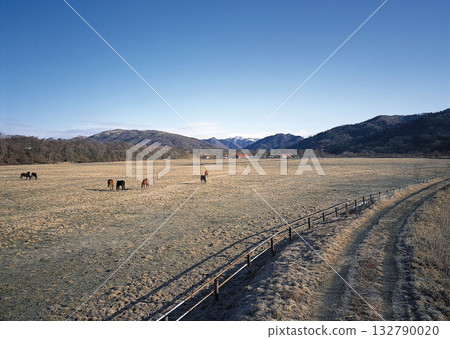 Material Dictionary Vol.94 Landscape of the Four Seasons and Peace. High quality photo Material Dictionary Vol.94 Landscape of the Four Seasons and Peace. High quality photo 132790020