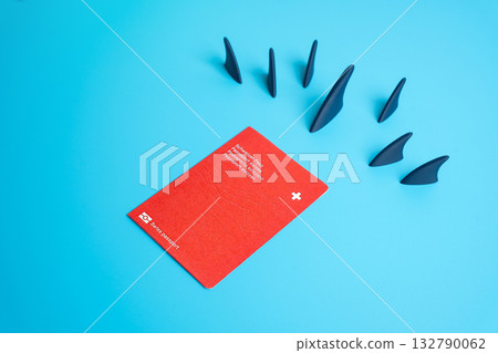 The pursuit of Swiss citizenship. Migration problem. High requirements and bureaucracy for residence. Immigration policy, European migration trends, and citizenship challenges. 132790062