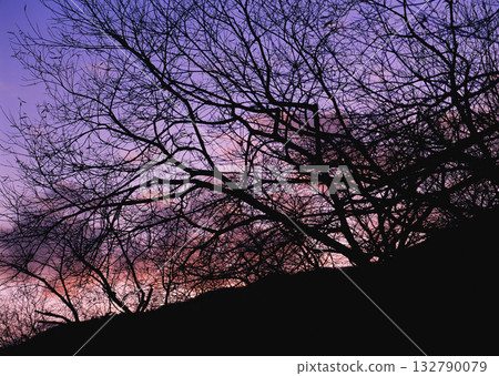 Dictionary of Materials Vol.122 Four Seasons. Scenery of Japan. High quality photo Dictionary of Materials Vol.122 Four Seasons. Scenery of Japan. High quality photo 132790079