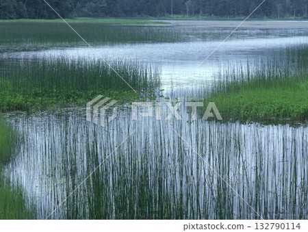 Material Dictionary Vol.94 Landscape of the Four Seasons and Peace. High quality photo 132790114