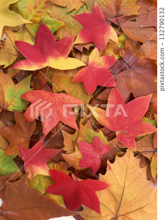 Dictionary of Materials Vol.122 Four Seasons. Scenery of Japan. High quality photo 132790132