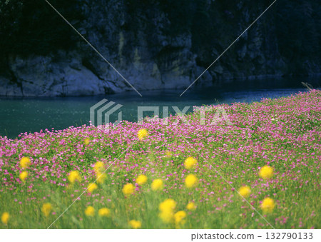 Dictionary of Materials Vol.122 Four Seasons. Scenery of Japan. High quality photo Dictionary of Materials Vol.122 Four Seasons. Scenery of Japan. High quality photo 132790133
