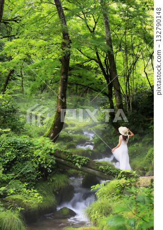 After the rain 132790148