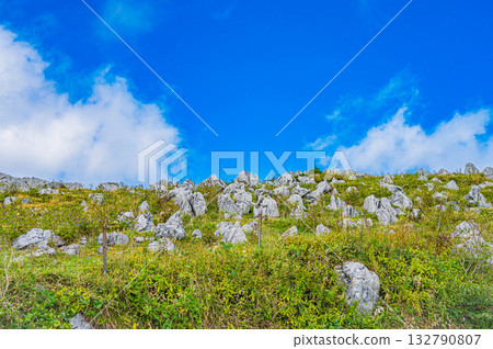 Landscape of Shikoku Karst Plateau Landscape of Shikoku Karst Plateau 132790807