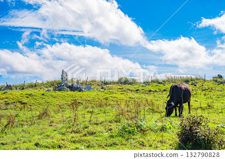 四國岩溶高原景觀 132790828