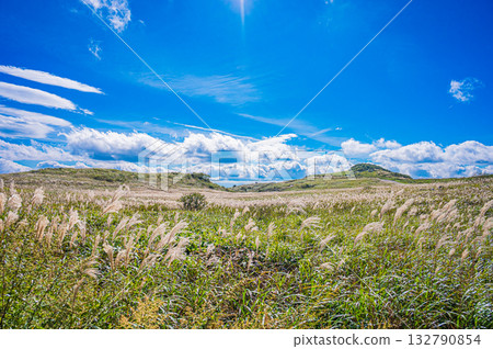 Landscape of Shikoku Karst Plateau Landscape of Shikoku Karst Plateau 132790854