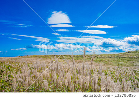 Landscape of Shikoku Karst Plateau Landscape of Shikoku Karst Plateau 132790856