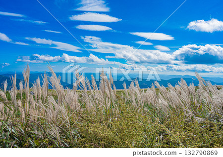 四國岩溶高原景觀 四國岩溶高原景觀 132790869
