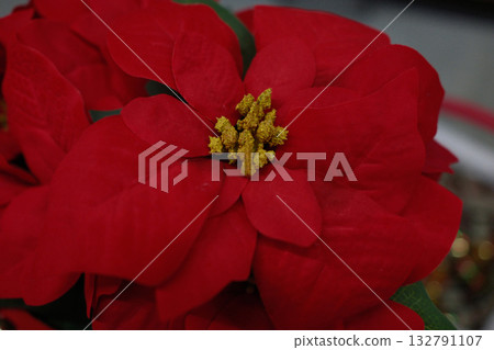 christmas objects decoration for a family traditional celebration christmas objects decoration for a family traditional celebration 132791107