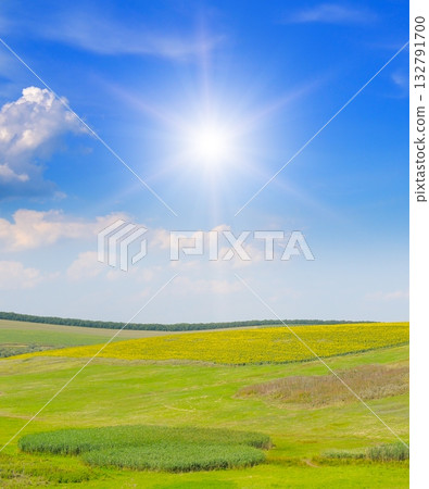 Vibrant Summer Landscape with Rolling Hills, Sunflower Field, and Bright Sunburst Sky 132791700