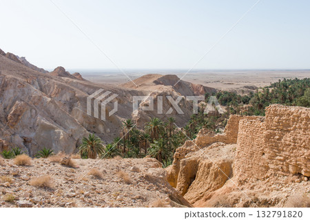 Aerial view of Chebika canyon and oasis. Tunisia 132791820