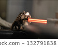 A curious marmoset explores a glowing mobile phone on a reflective surface. The scene captures a warm and playful vibe in a relaxed indoor setting. 132791838