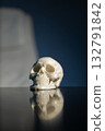 white skull is resting on a polished black table. The soft lighting creates a calm atmosphere while the dark background enhances its details and reflection. 132791842