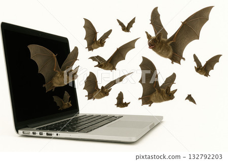 A flock of bats flies out of a laptop. 132792203