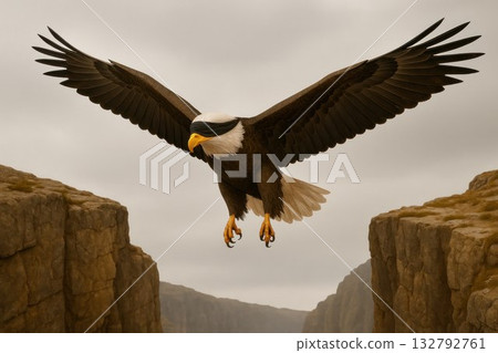 A blindfolded eagle flies between the rocks. A blindfolded eagle flies between the rocks. 132792761