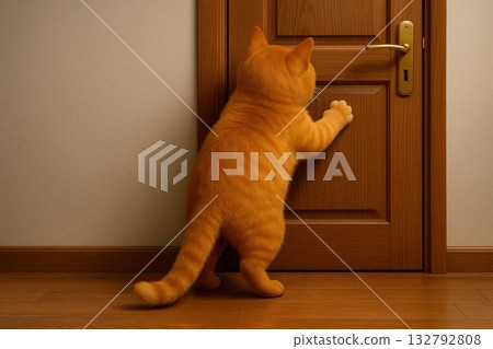 An orange cat reaches for a wooden door. Space for text. An orange cat reaches for a wooden door. Space for text. 132792808