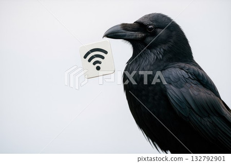 The raven holds a Wi-Fi icon in its beak. Space for text. The raven holds a Wi-Fi icon in its beak. Space for text. 132792901