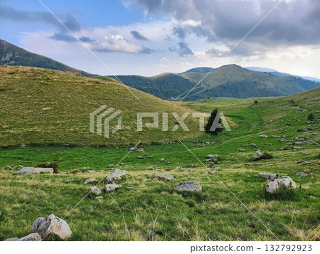 Green Alpine Hills - Summer Landscape Green Alpine Hills - Summer Landscape 132792923