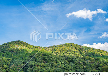 Uji forest scenery, Uji City, Kyoto Prefecture 132793110