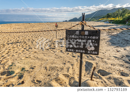 Yakushima's largest sea turtle nesting site, Nagata Inakahama (Summer) Yakushima's largest sea turtle nesting site, Nagata Inakahama (Summer) 132793189