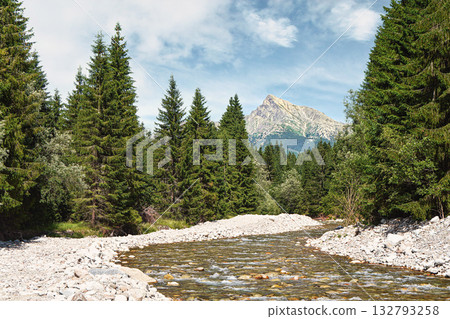 Forest river Bela with small round stones and coniferous trees on both sides, sunny day, Krivan peak - Slovak symbol - in distance 132793258