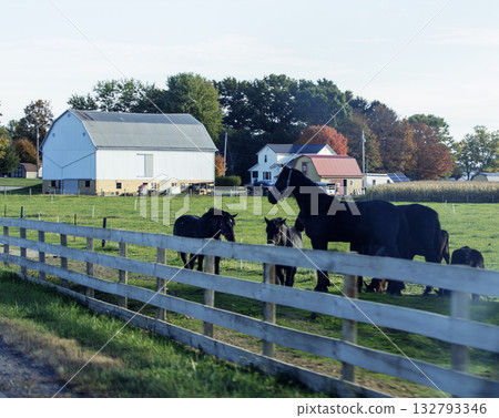 Rural Landscapes in Holmes County, Ohio in Autumn Rural Landscapes in Holmes County, Ohio in Autumn 132793346