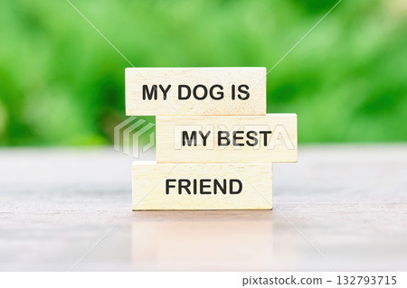 Three wooden blocks stacked on top of each other, spelling out the phrase My Dog Is My Best Friend. Green foliage is blurred in the background, emphasizing the blocks sentiment Three wooden blocks stacked on top of each other, spelling out the phrase My Dog Is My Best Friend. Green foliage is blurred in the background, emphasizing the blocks sentiment 132793715