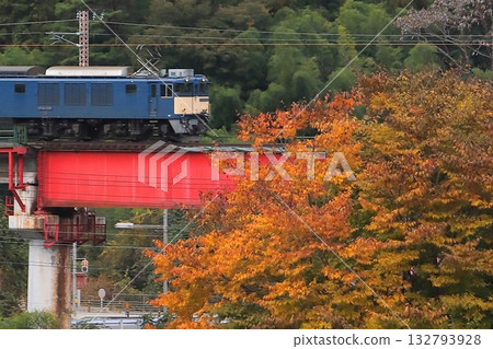 一列由EF64-1025型機車牽引的貨運列車（81次列車）行駛在秋葉染紅的木曾路公路。拍攝於2025年11月2日。 132793928