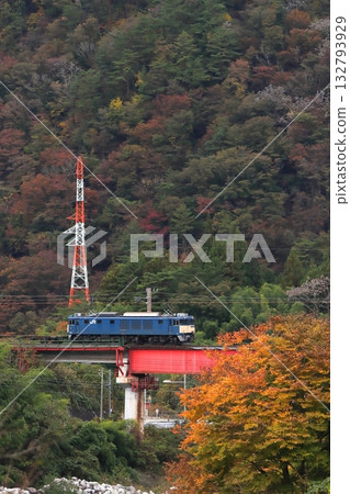 A freight train (81 train) pulled by EF64-1025 runs through the Kisoji road, dyed in autumn leaves. Photographed on November 2, 2025. 132793929