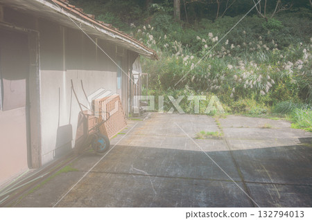 In the calm sunshine [Autumn] 132794013