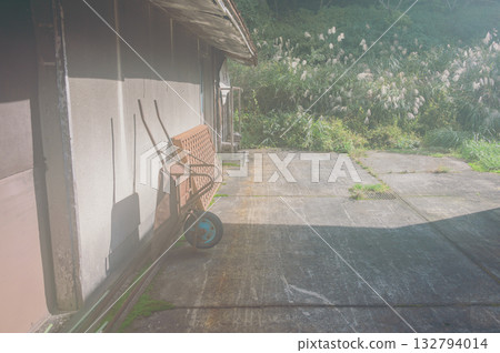 In the calm sunshine [Autumn] 132794014