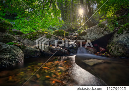 Monchique, Portugal, Sunlit waterfall gliding over mosscovered stones amidst autumn leaves, Calm waters cascade at Lowangle Creek surrounded by vibrant green moss 132794025